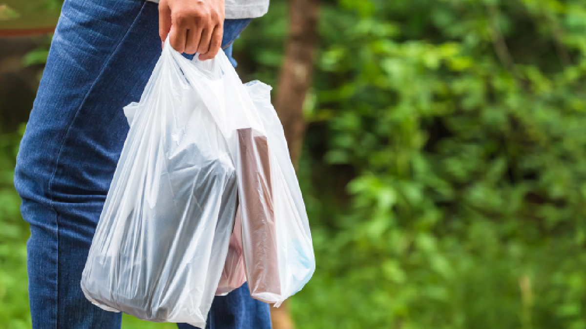 plastic bag shop charges delayed