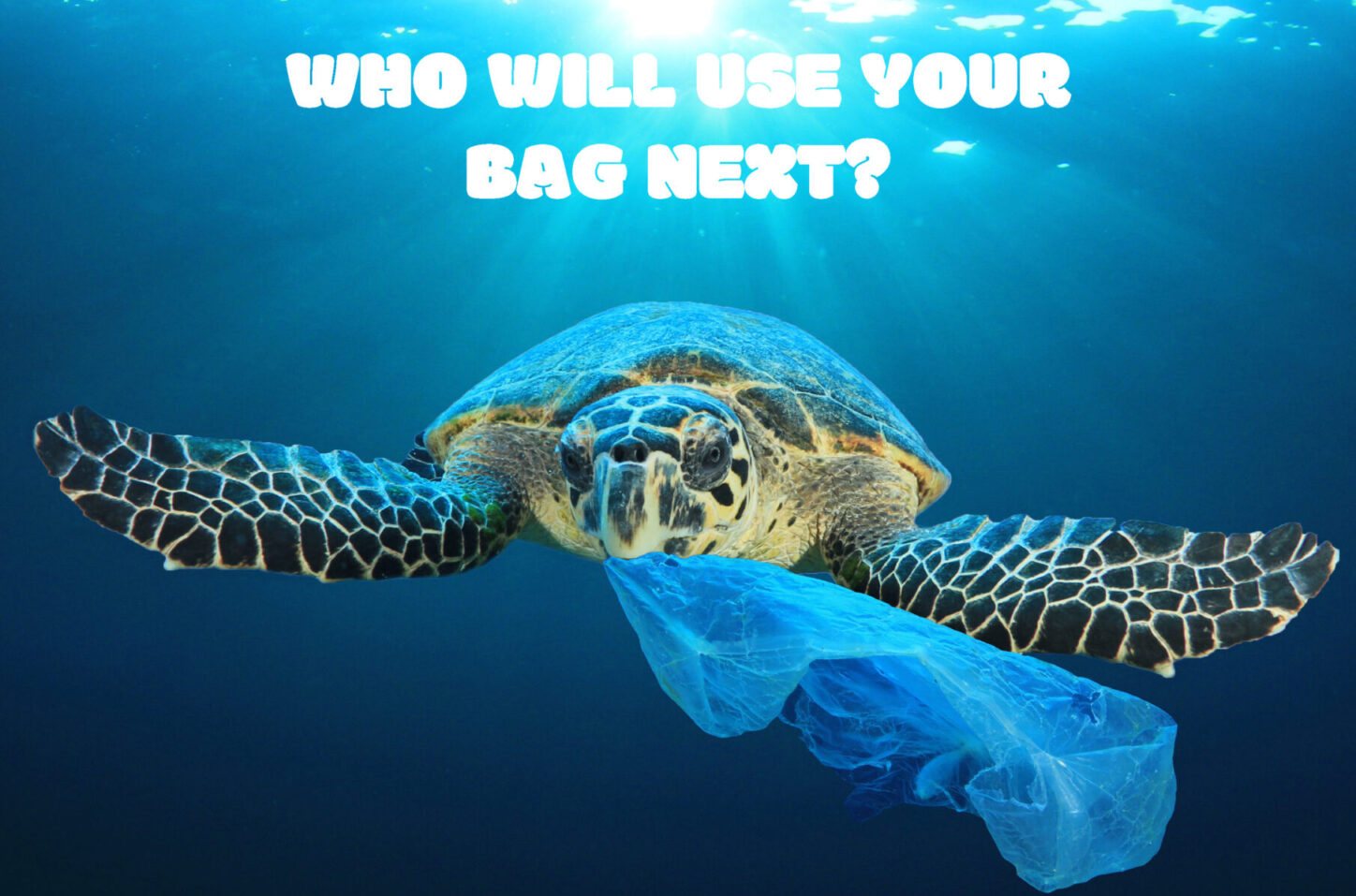 NFRN creates series of posters ahead of 10p carrier bag charge - Better ...