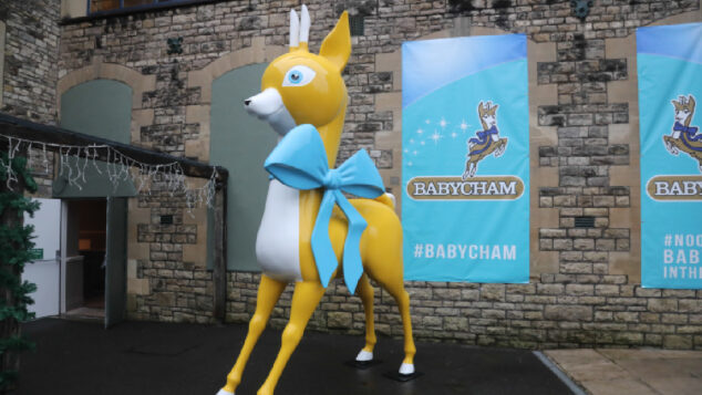 brothers cider babycham (1)
