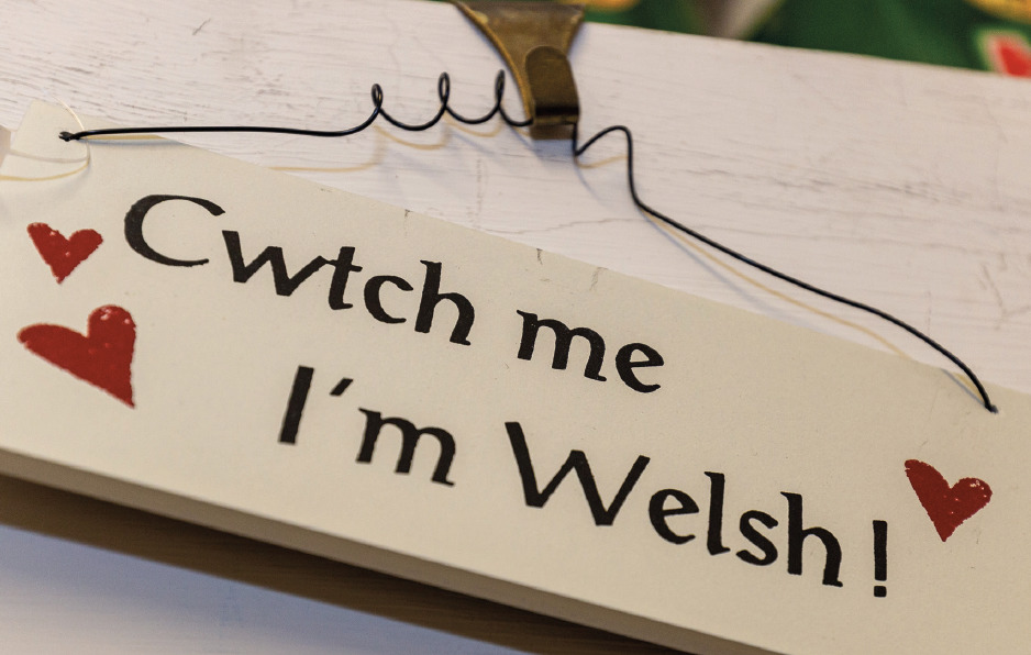 Cwtch me I'm Welsh sign
