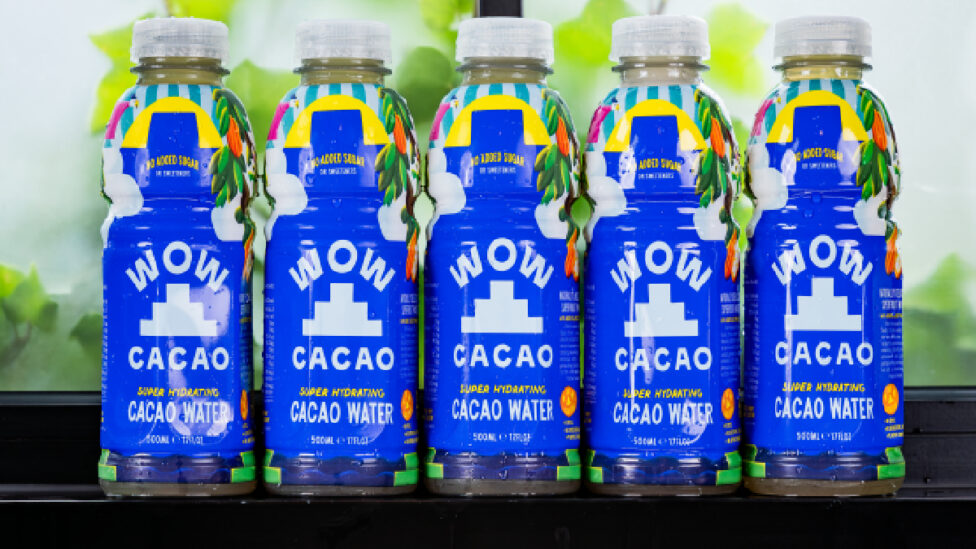 wow cacao