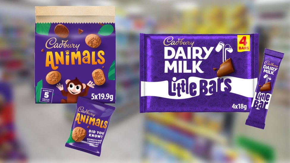 cadbury merlin who will you take